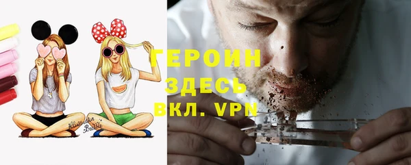 индика Бородино