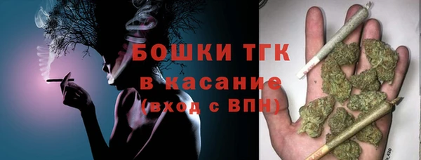 индика Бородино