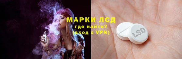 индика Бородино