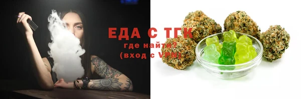 индика Бородино