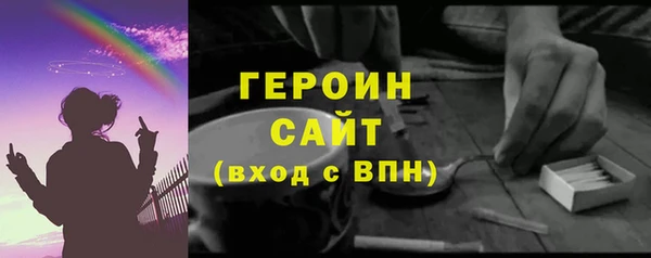 индика Бородино