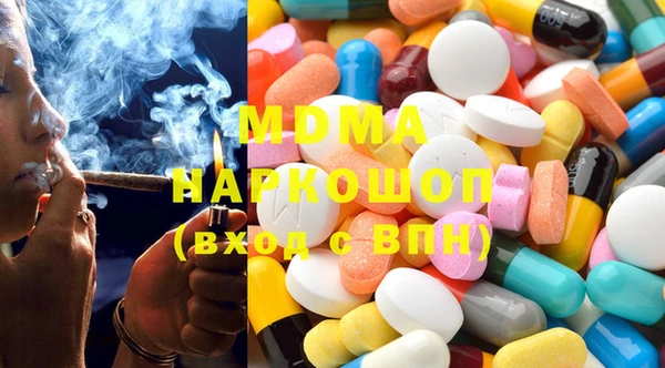 индика Бородино