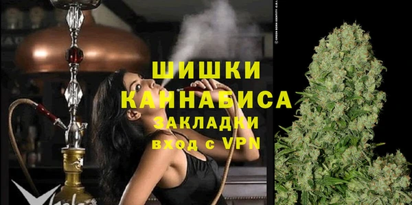 тгк Бронницы