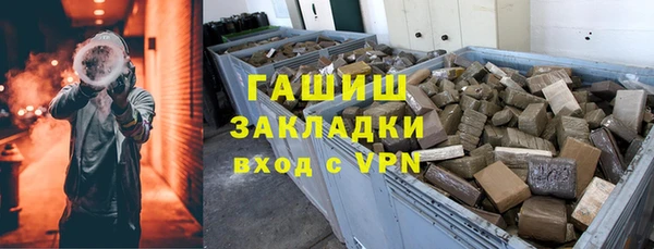 индика Бородино