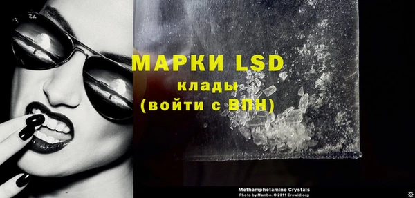 индика Бородино