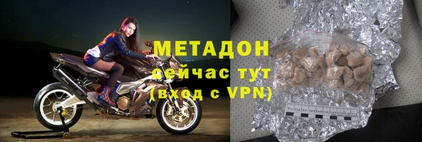 индика Бородино