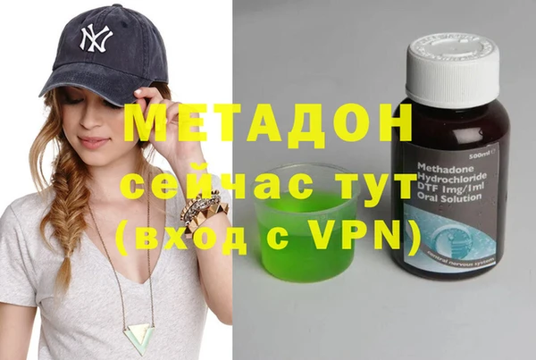 индика Бородино