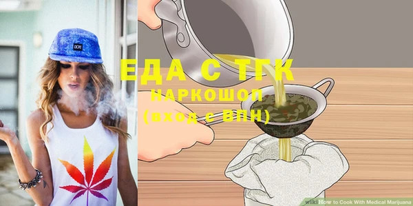 индика Бородино