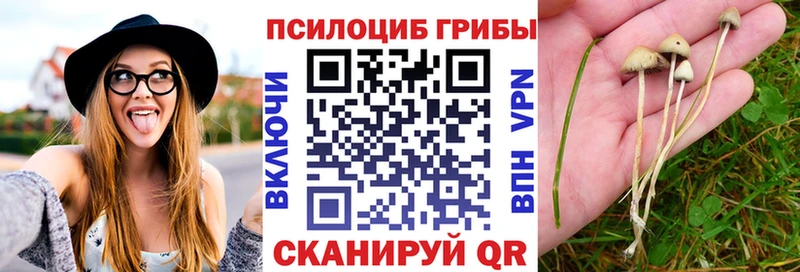 Галлюциногенные грибы прущие грибы  Чусовой 